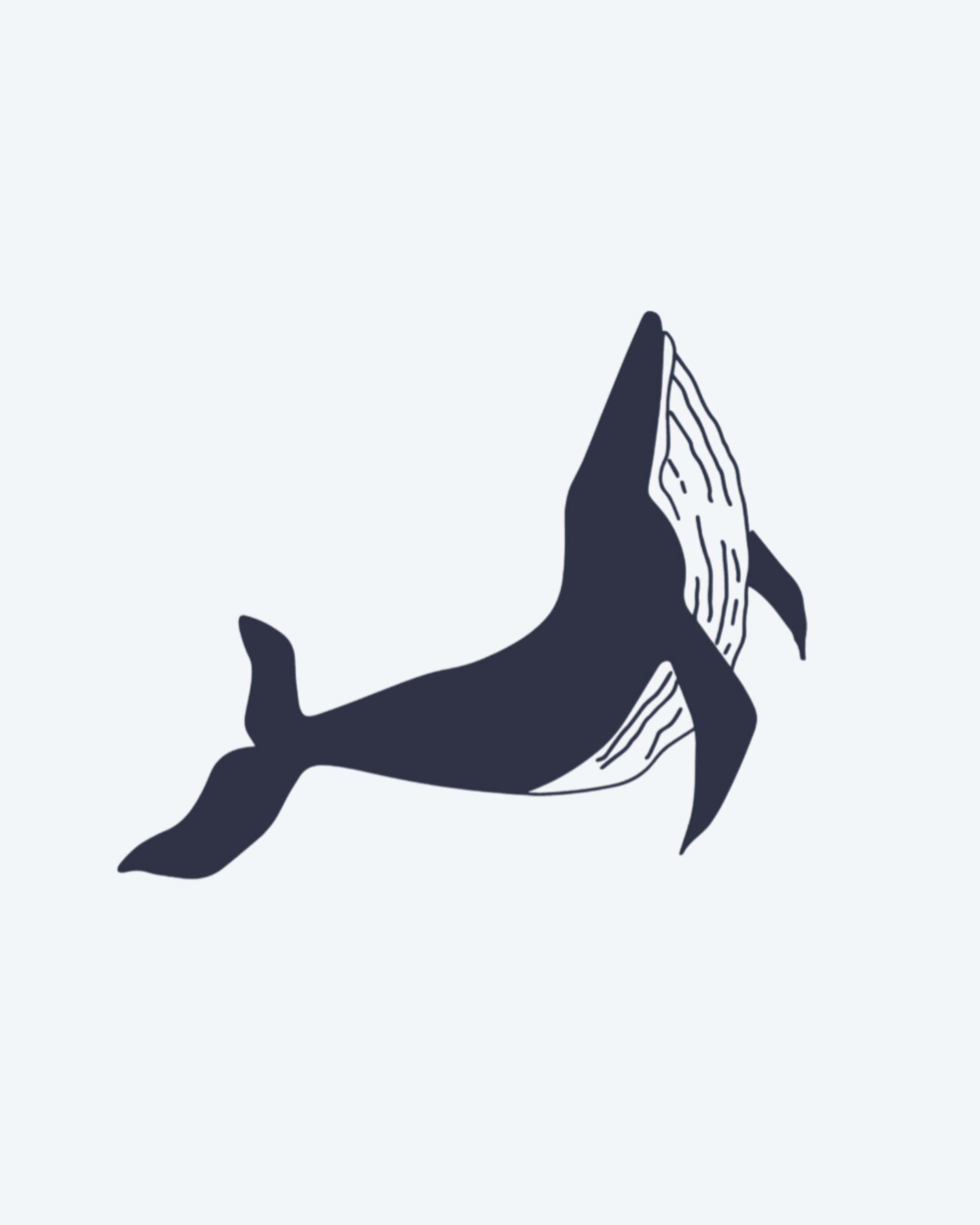 Baleine Océanique